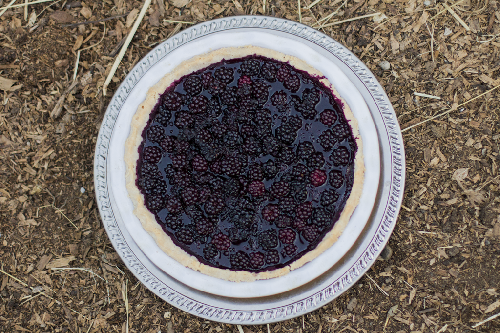 blackberry-pie