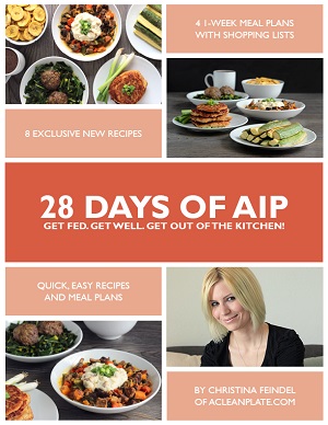 28-Days-of-AIP