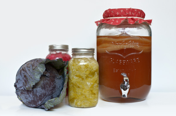 Ferments_for_AIP