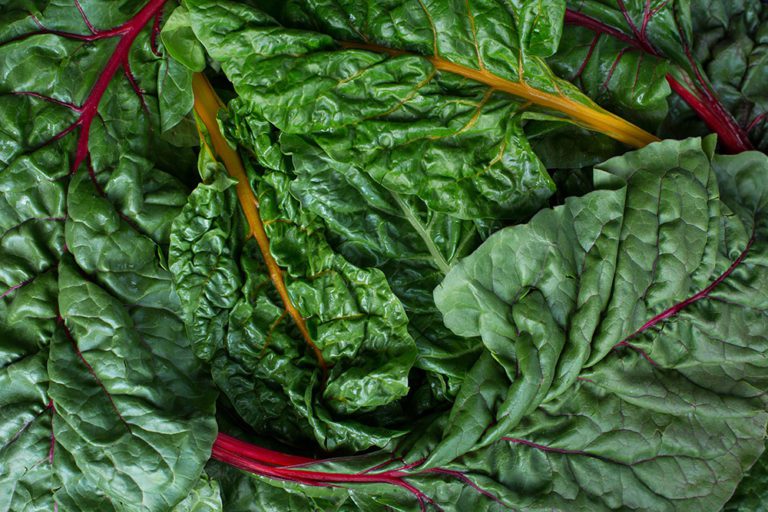 Vitamins K1 and K2 Beyond Blood Clotting! Autoimmune Wellness