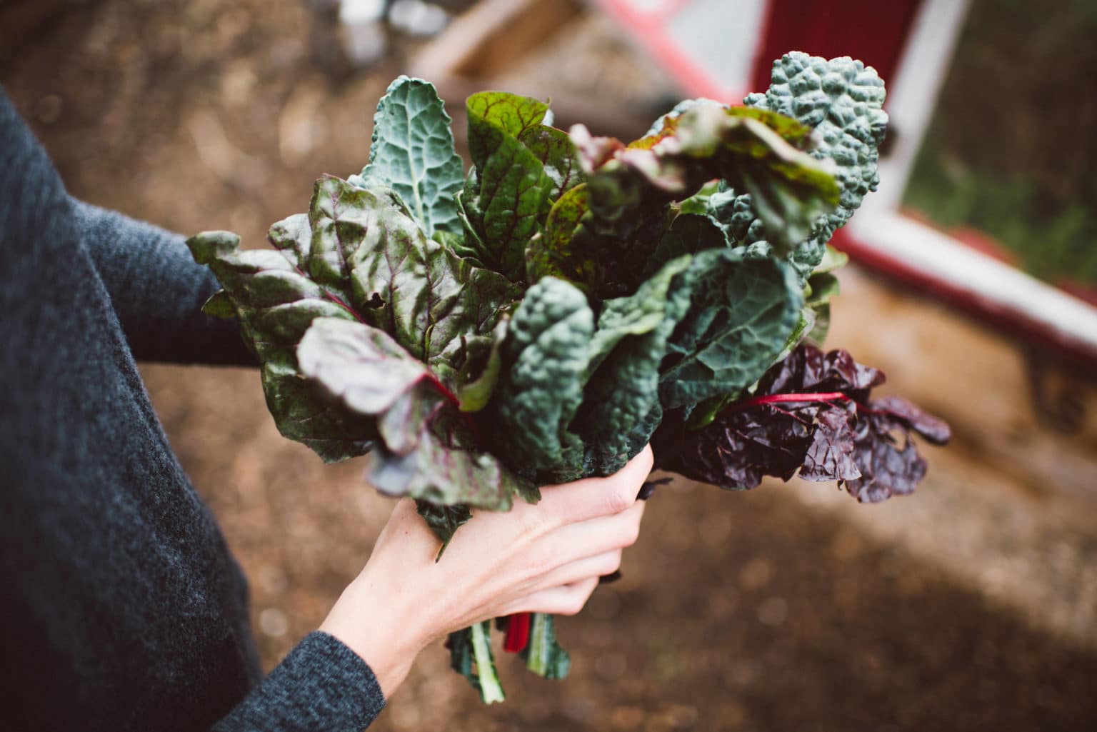Transitioning to AIP from a Vegan or Vegetarian Diet