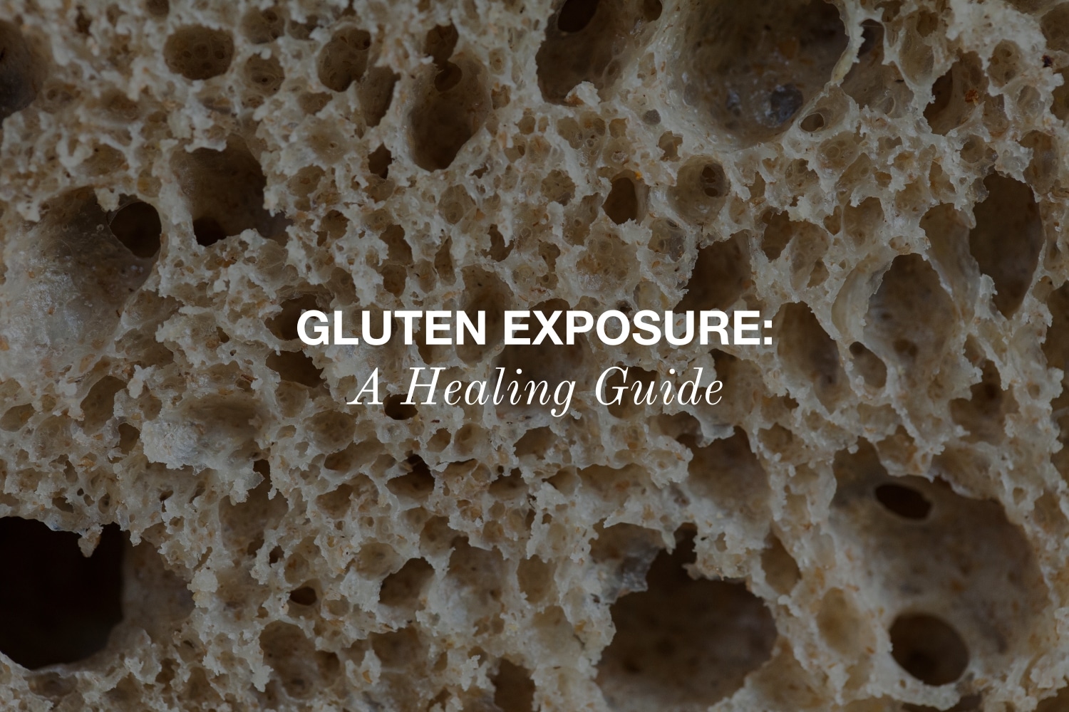 Gluten Exposure: A Healing Guide