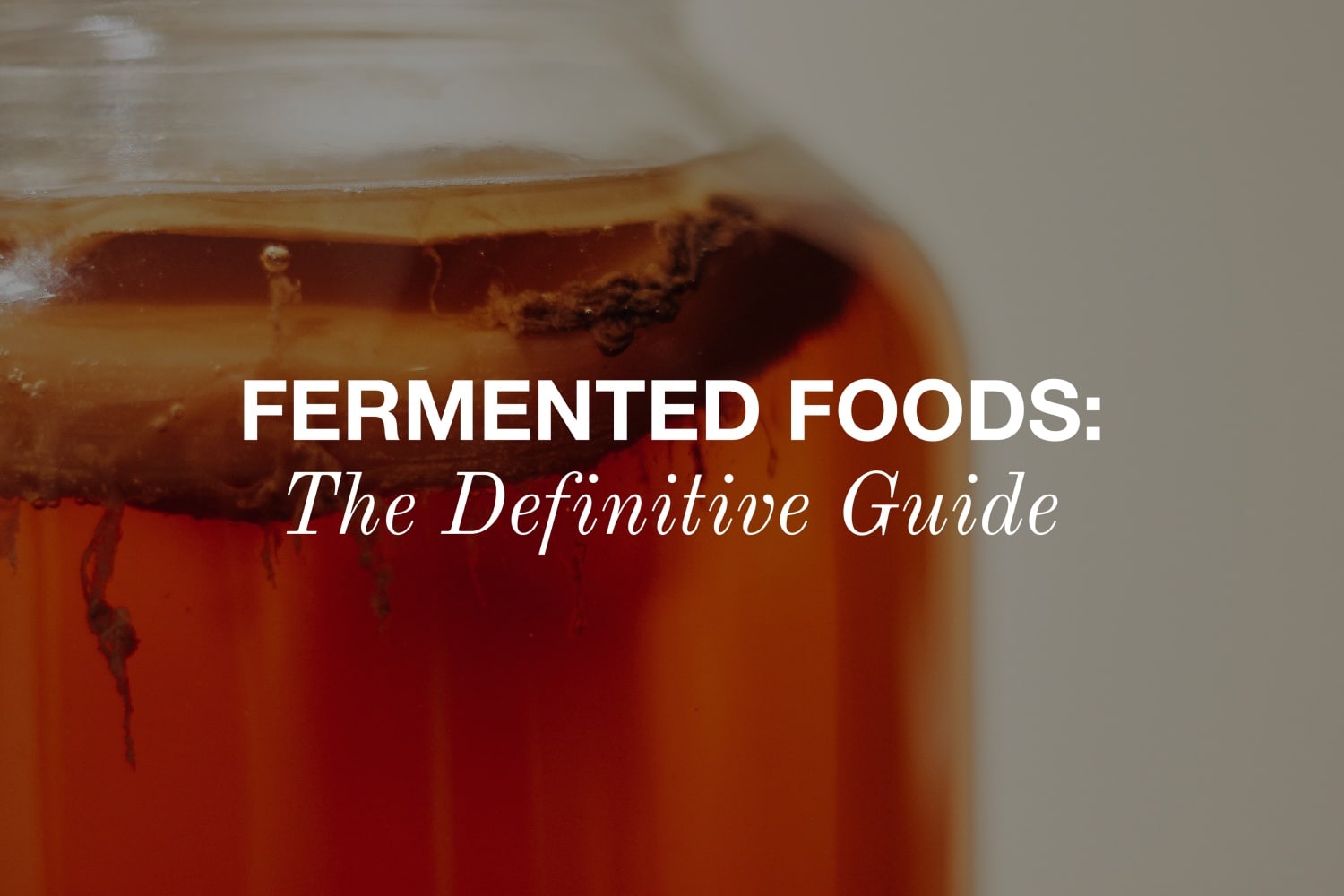 Fermented Foods: The Definitive Guide